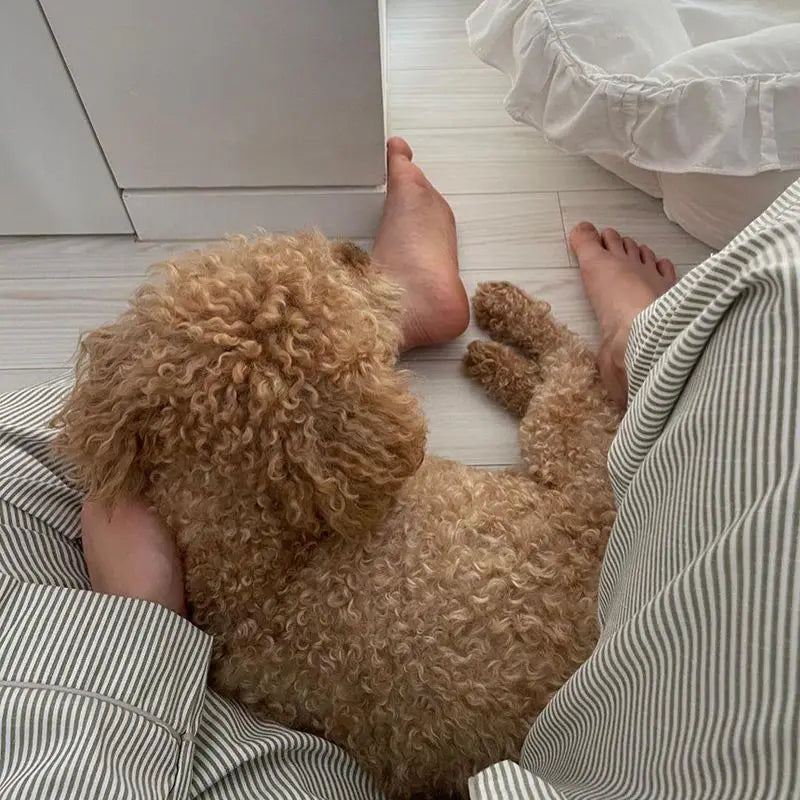 Olivia - Pigiama Morbido da Sogno